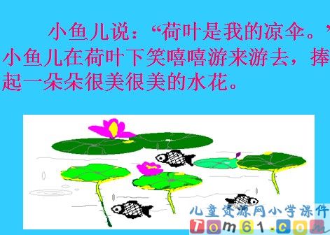 荷叶圆圆课件13
