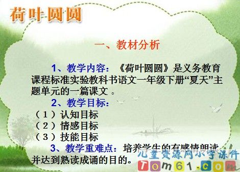 荷叶圆圆课件17