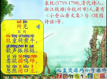 所见课件2