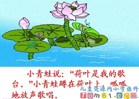 荷叶圆圆课件48