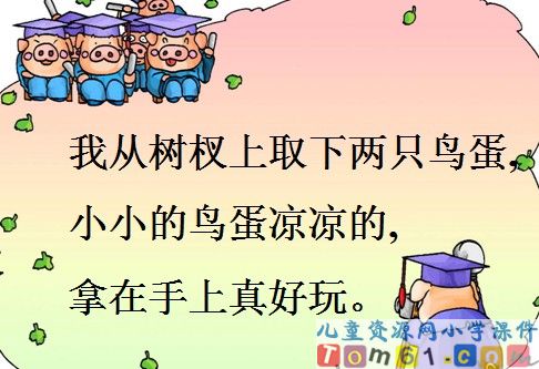 两只鸟蛋课件8