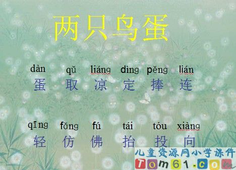 两只鸟蛋课件7