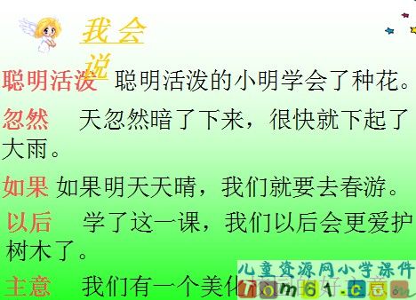 松鼠和松果课件5