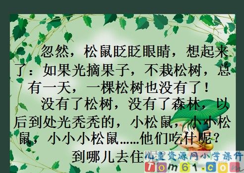 松鼠和松果课件8