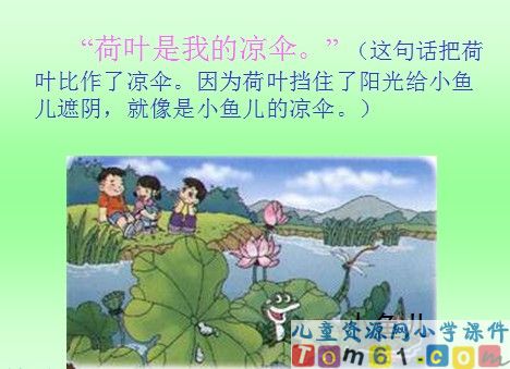 荷叶圆圆课件16