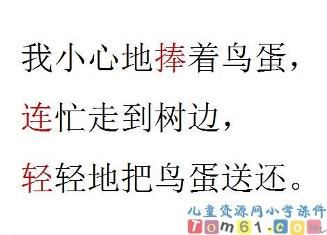 两只鸟蛋课件13