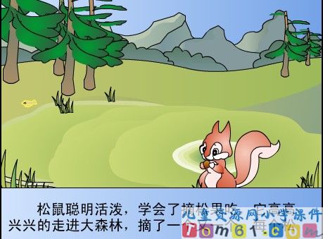 松鼠和松果课件14