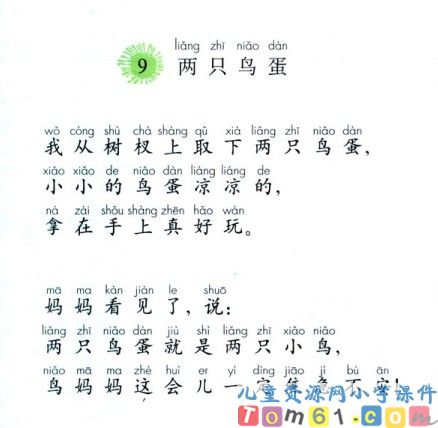 两只鸟蛋课件22