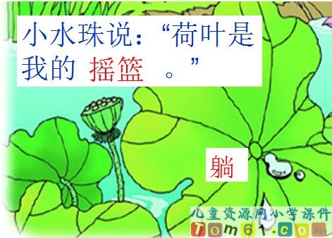 荷叶圆圆课件14