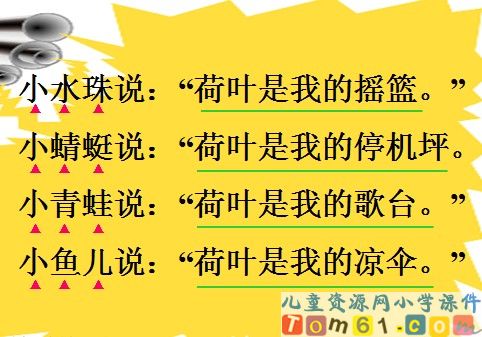 荷叶圆圆课件7