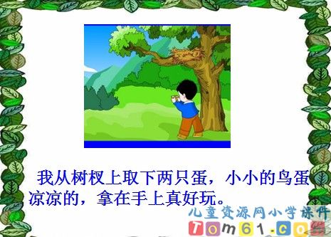 两只鸟蛋课件26