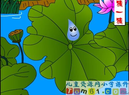 荷叶圆圆课件28