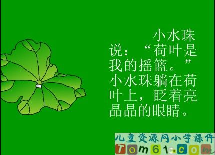 荷叶圆圆课件5