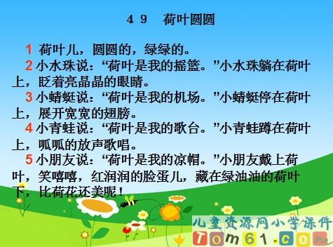 荷叶圆圆课件11