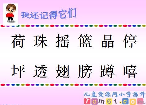 荷叶圆圆课件9