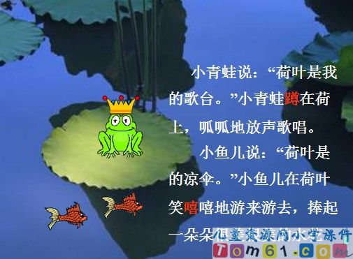 荷叶圆圆课件30