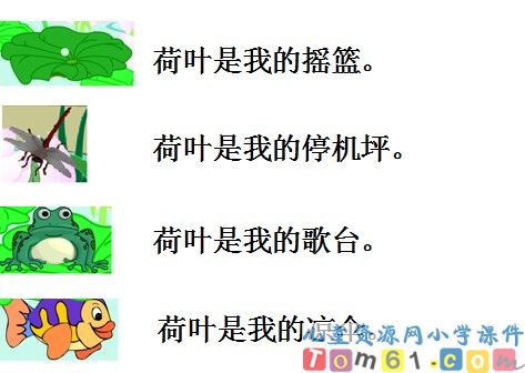 荷叶圆圆课件10