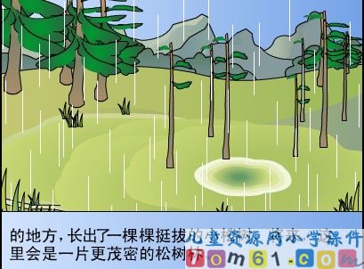 松鼠和松果课件20