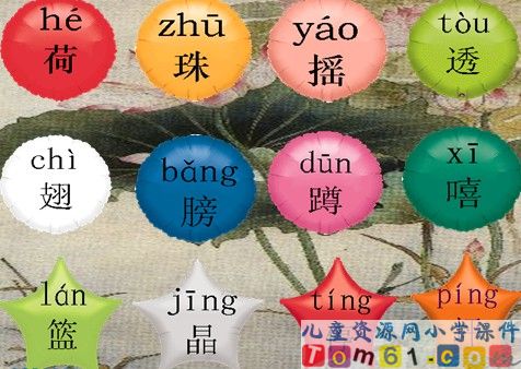 荷叶圆圆课件23