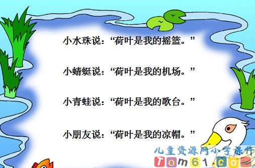 荷叶圆圆课件26