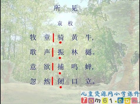 所见课件6