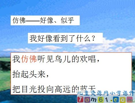 两只鸟蛋课件10
