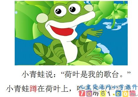 荷叶圆圆课件47