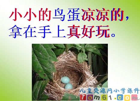 两只鸟蛋课件15