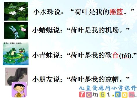 荷叶圆圆课件32