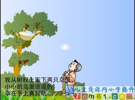 两只鸟蛋课件20