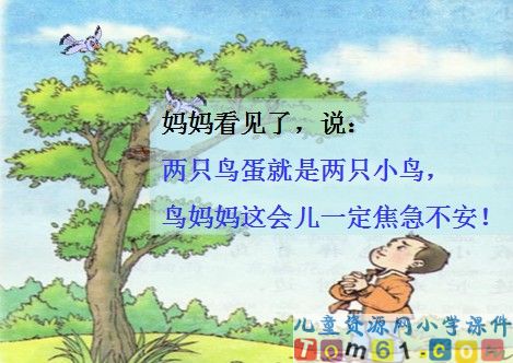 两只鸟蛋课件21