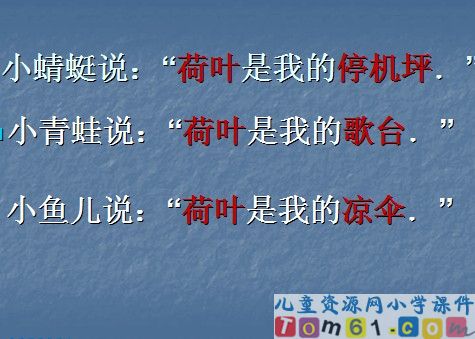荷叶圆圆课件8