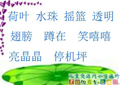 荷叶圆圆课件21