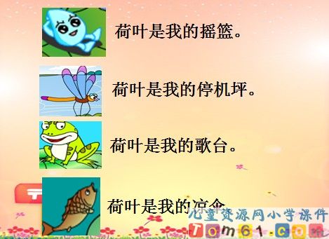 荷叶圆圆课件53