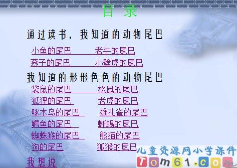 小壁虎借尾巴课件16