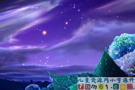 夏夜多美课件14