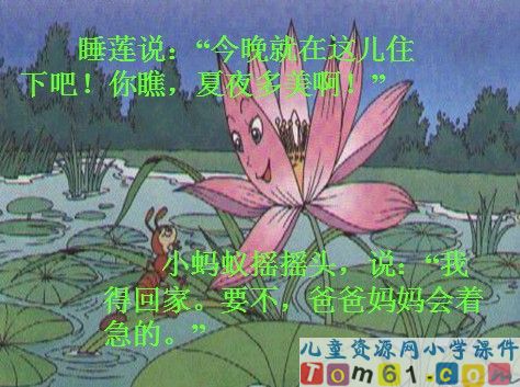 夏夜多美课件10