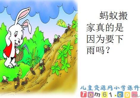 要下雨了课件10