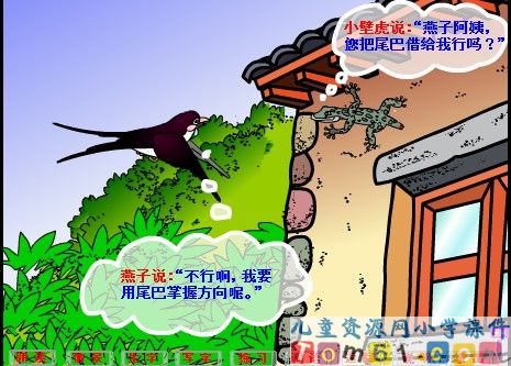 小壁虎借尾巴课件11