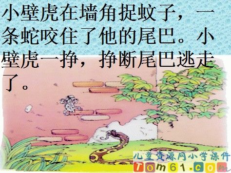 小壁虎借尾巴课件17