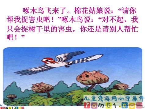 棉花姑娘课件15