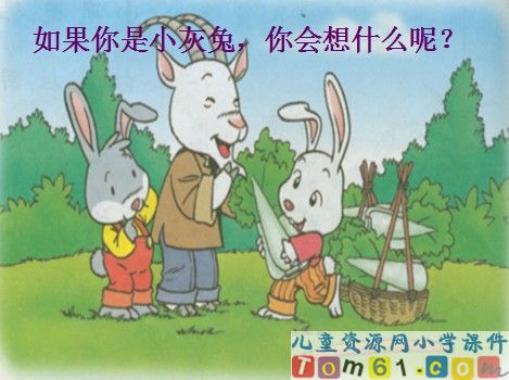 小白兔和小灰兔课件7