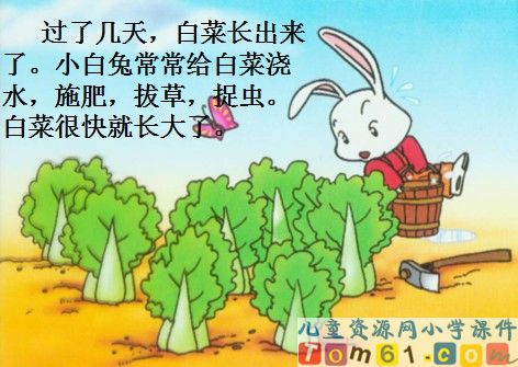 小白兔和小灰兔课件9