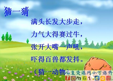 两只小狮子课件20