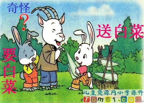 小白兔和小灰兔课件16