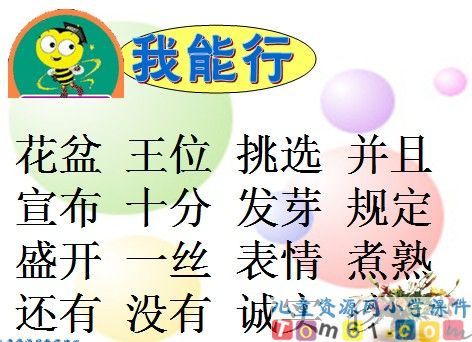 手捧空花盆的孩子课件5