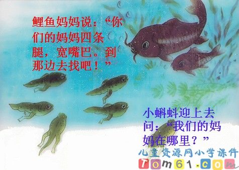 小蝌蚪找妈妈课件10