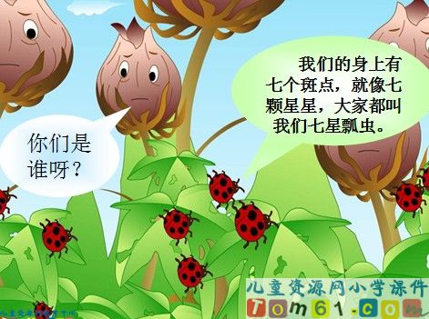 棉花姑娘课件24