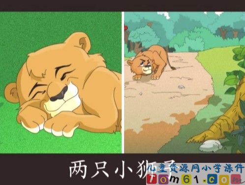 两只小狮子课件16