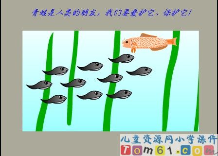 小蝌蚪找妈妈课件7